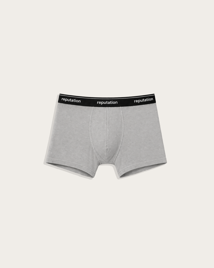 Reputation Signature Boxer Brief 01 in stone gray, flat lay